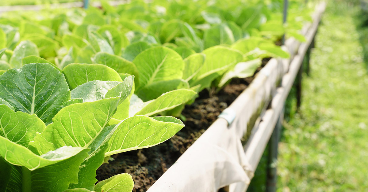 Food & Beverage M&A Pulse Q4 2023 PMCF Investment Banking